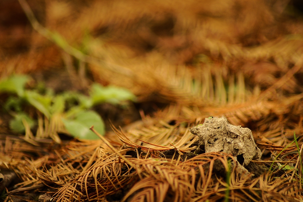 _DSC8909.jpg