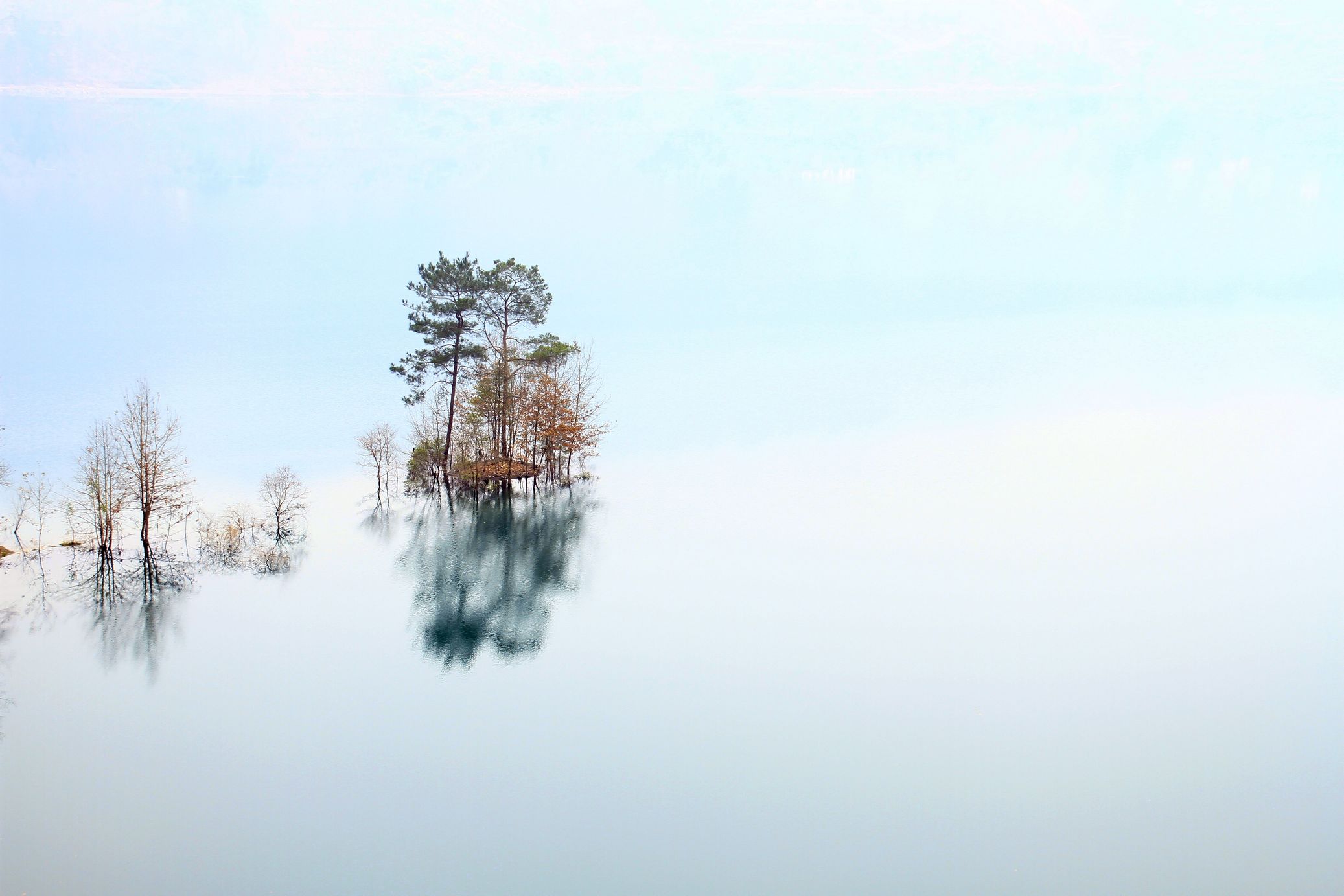 _MG_1603.JPG