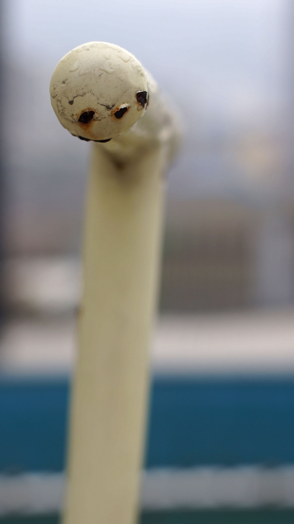 DSC05727.jpg