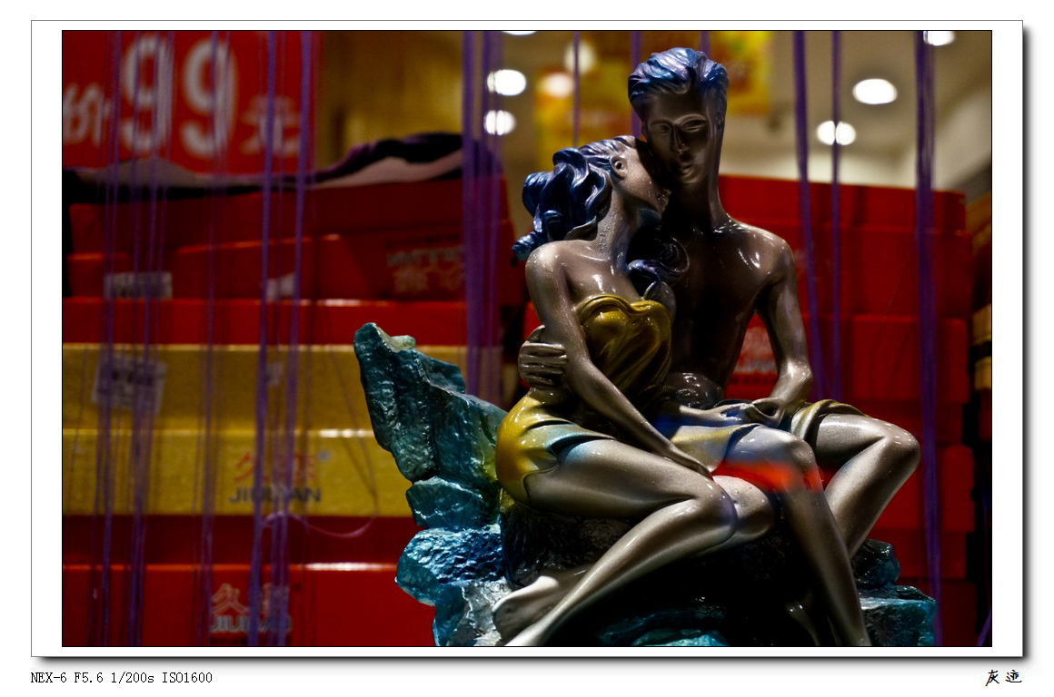 DSC00485.jpg