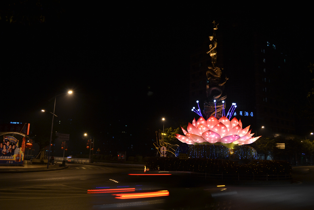DSC_0091.jpg