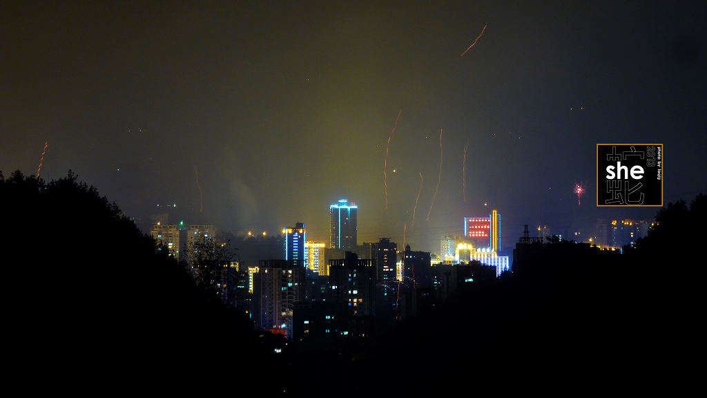 P1070929.jpg