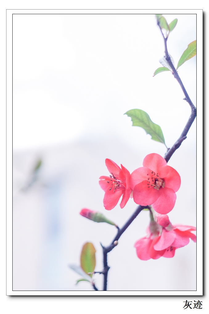 nEO_IMG_DSC02098.jpg