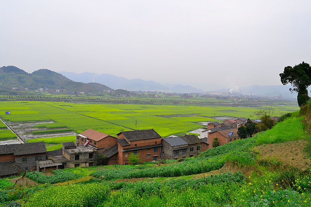 _DSC0006.jpg