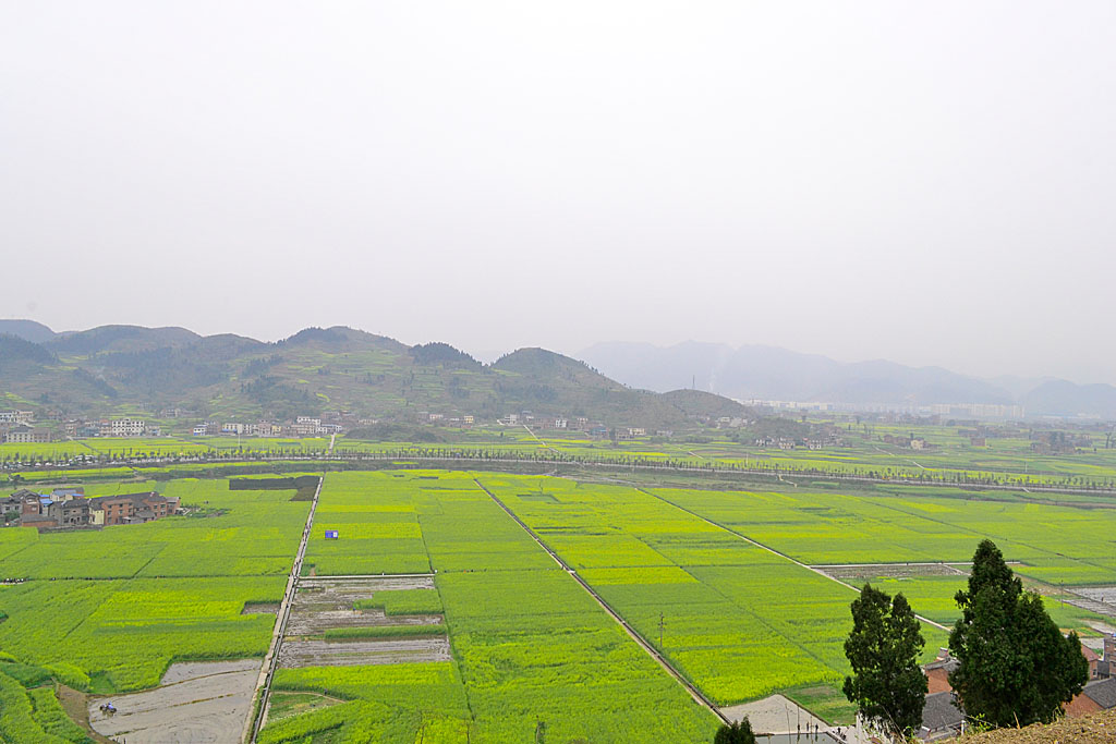 _DSC0018.jpg
