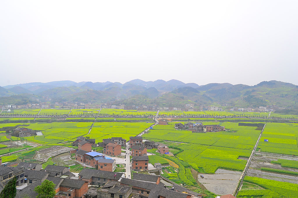 _DSC0015.jpg