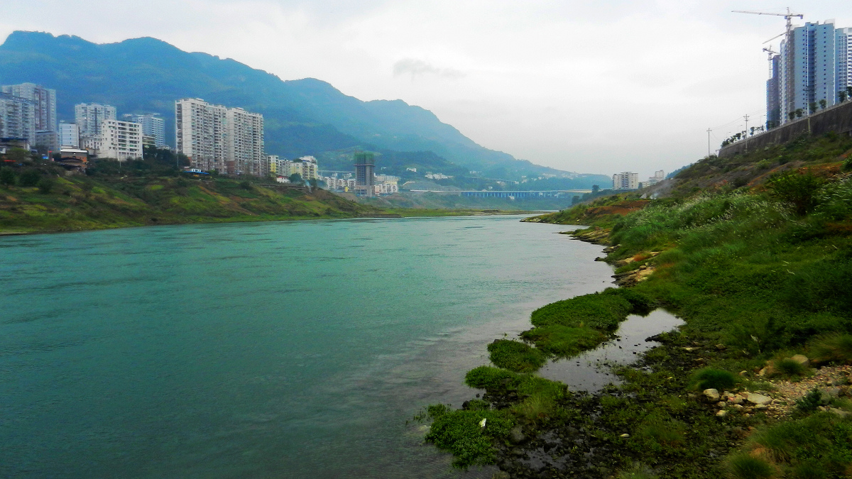DSCN7738.jpg