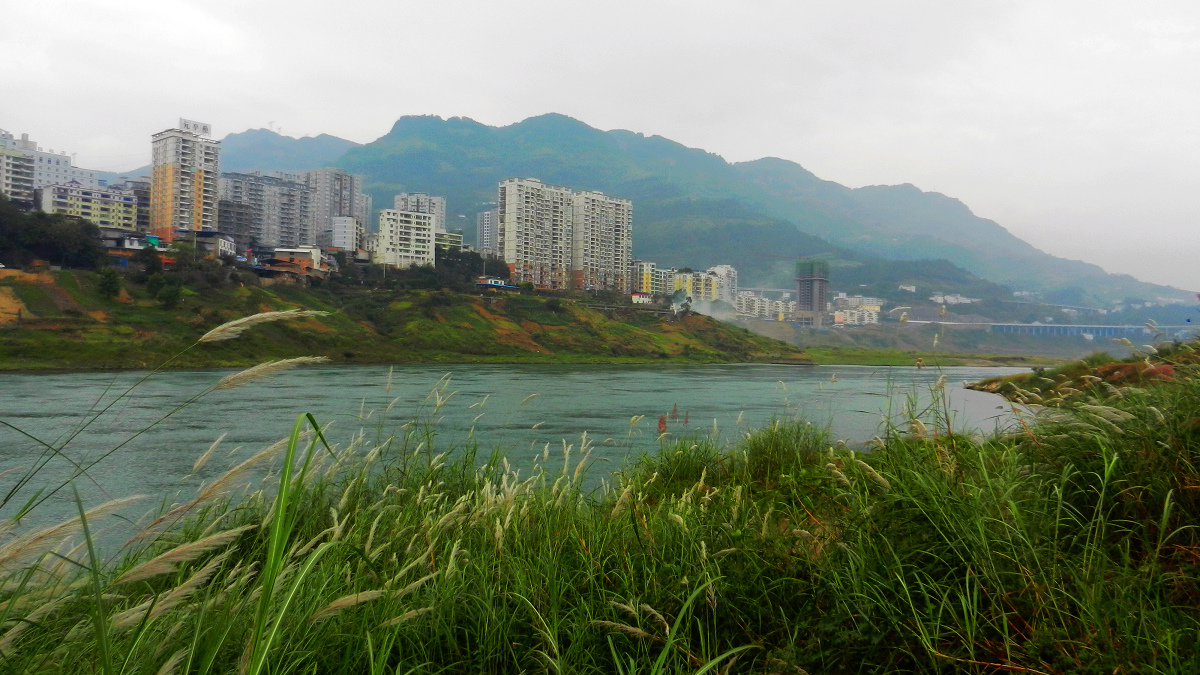 DSCN7746.jpg