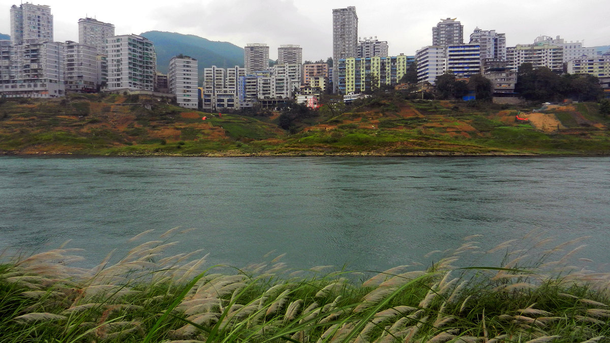 DSCN7747.jpg