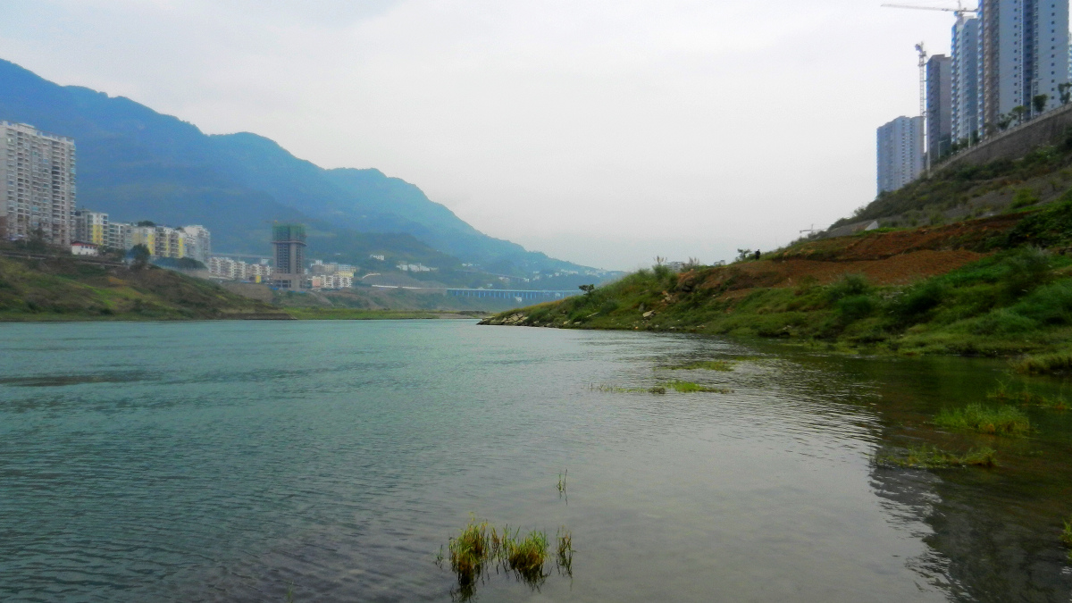 DSCN7750.jpg