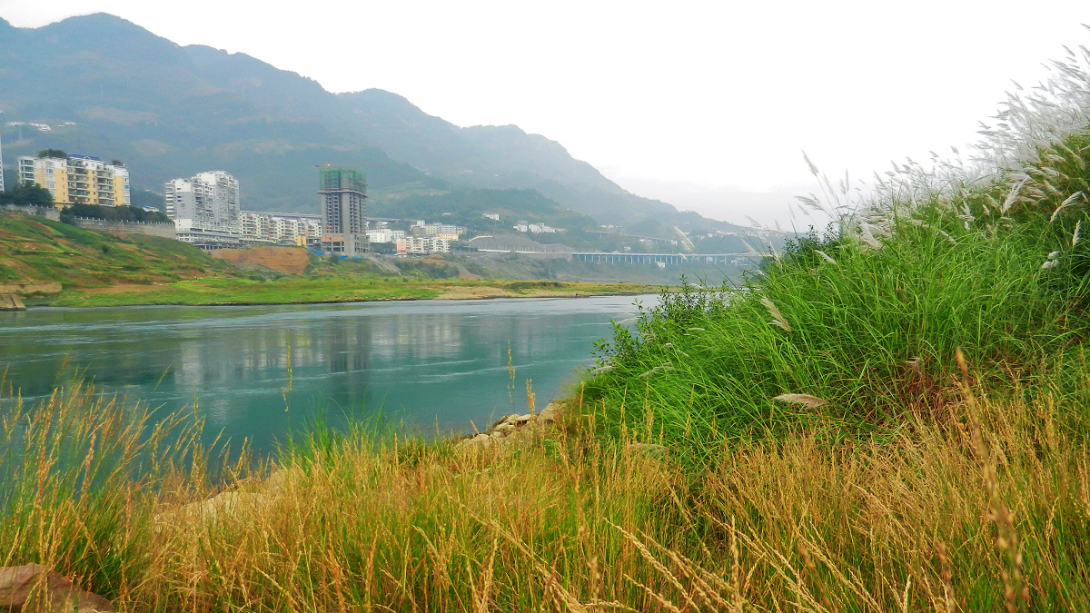 DSCN7755.jpg