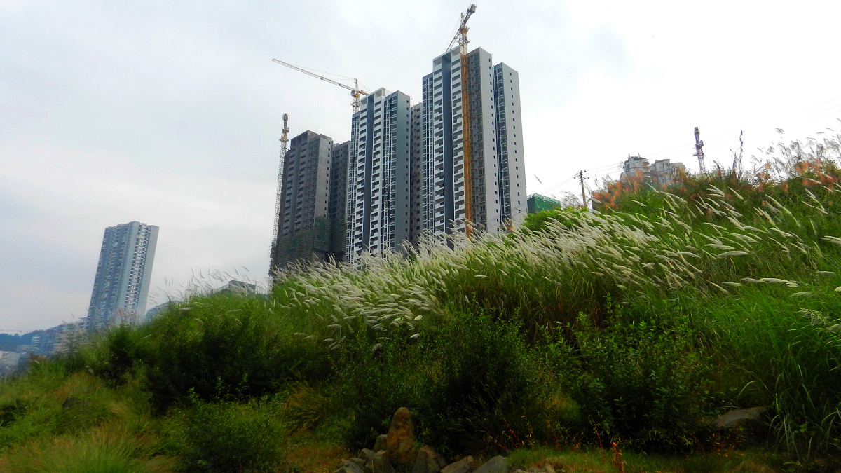 DSCN7756.jpg