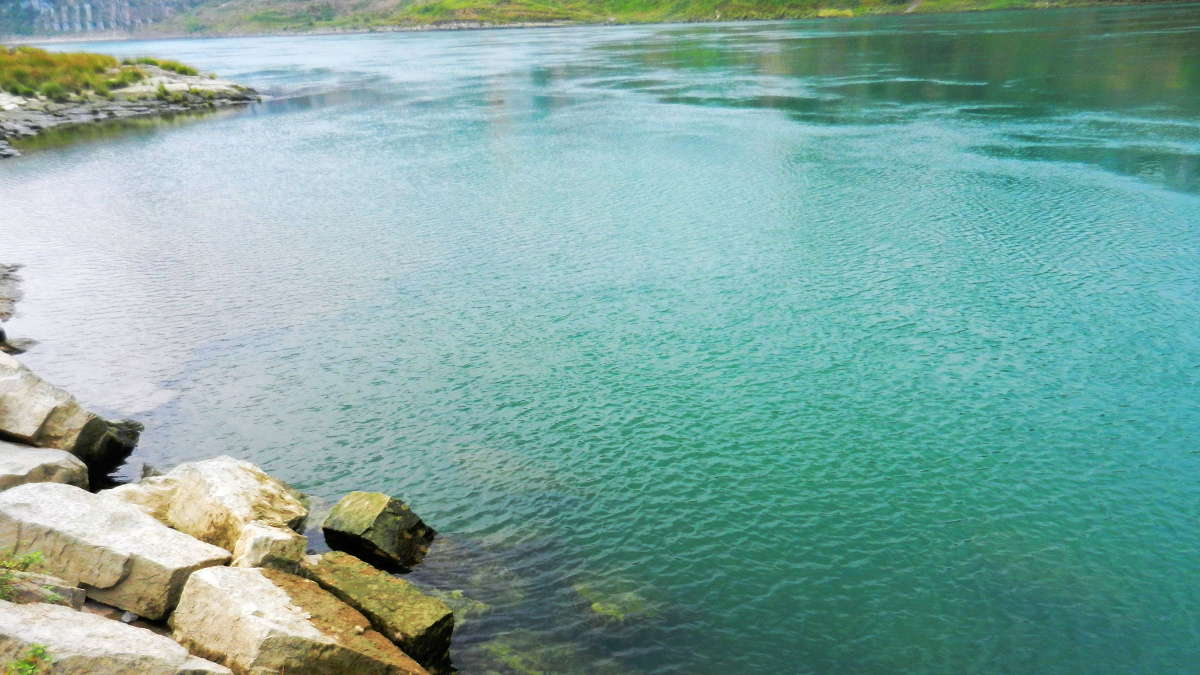 DSCN7768.jpg