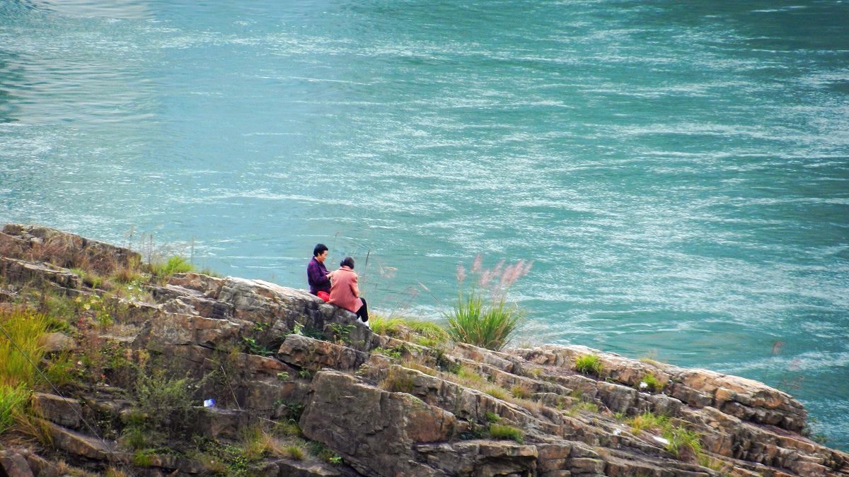 DSCN7795.jpg