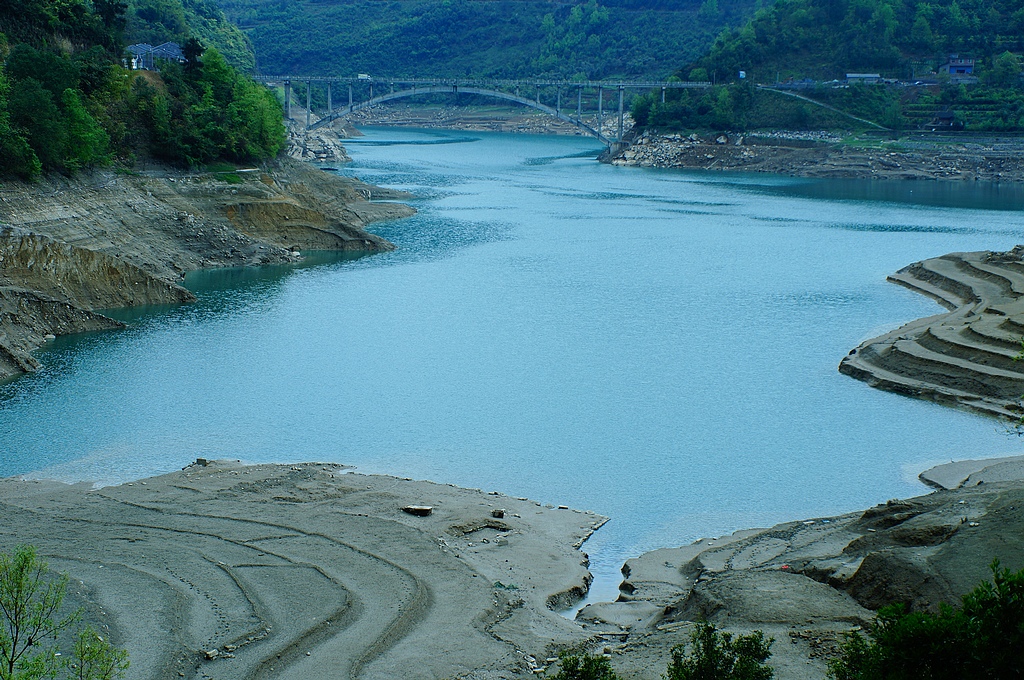 DSC08525.jpg