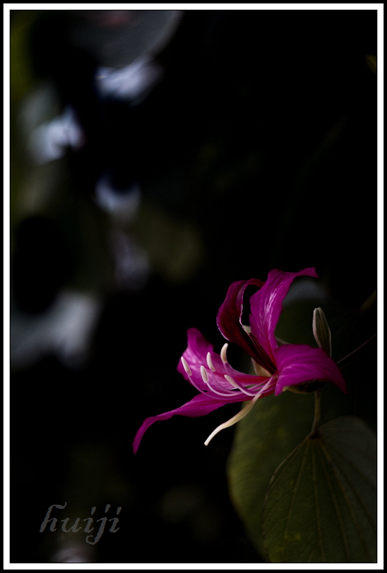 DSC04049.jpg