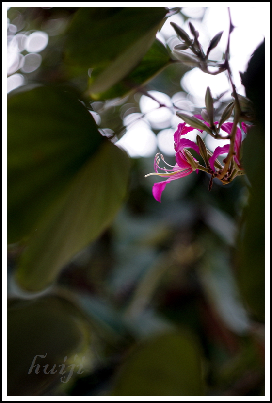 DSC04067.jpg