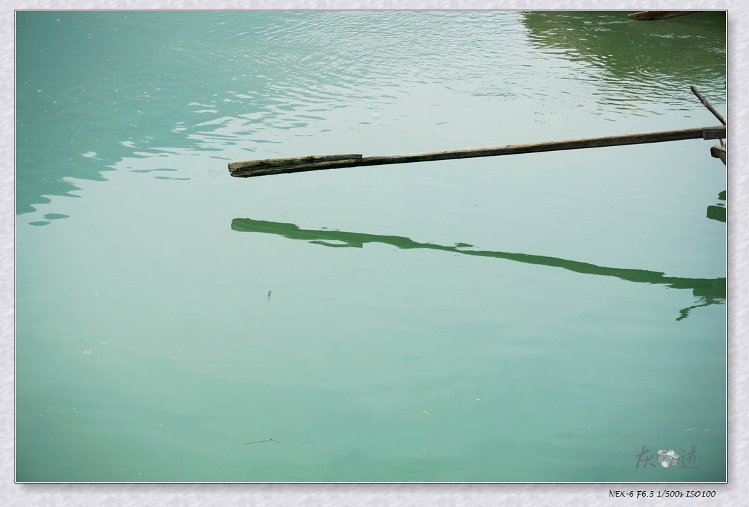 DSC01292.jpg