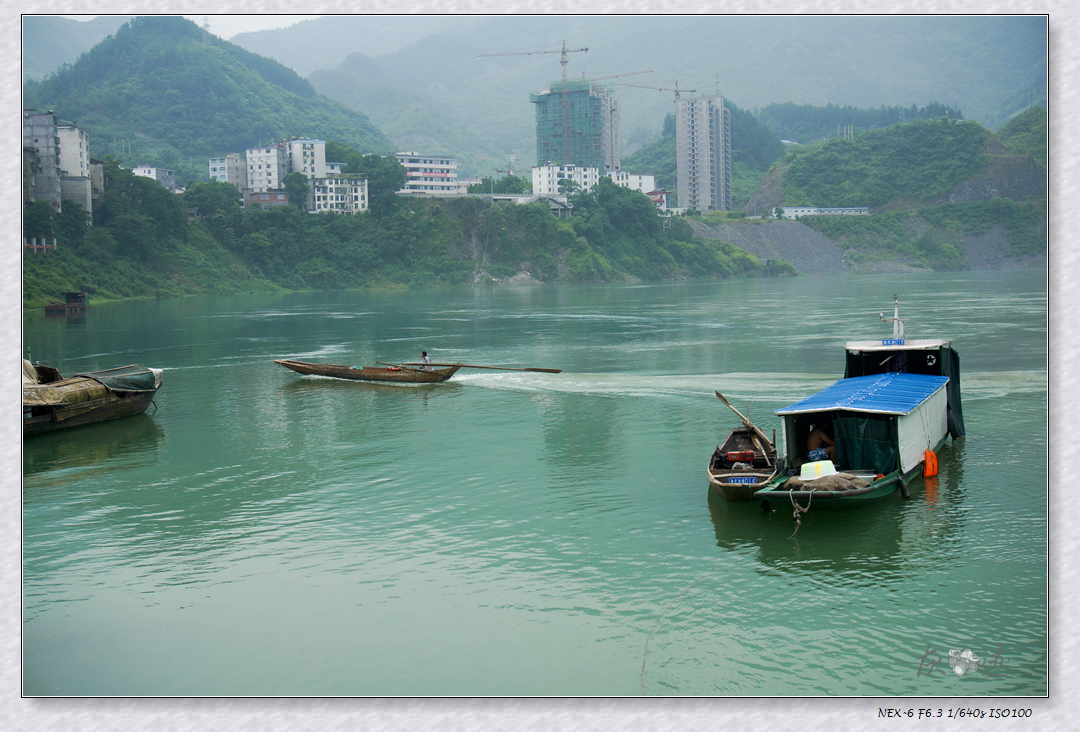 DSC01311.jpg