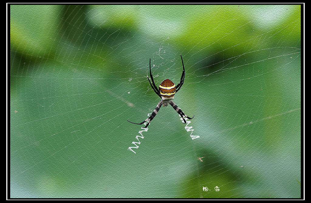 DSC04596_副本_副本.jpg