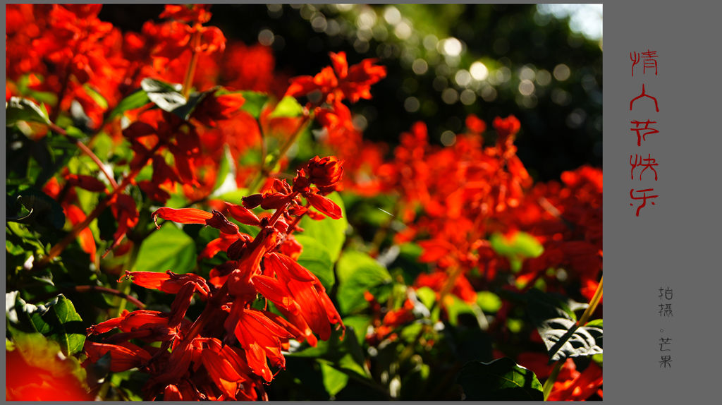 DSC08092_副本.jpg