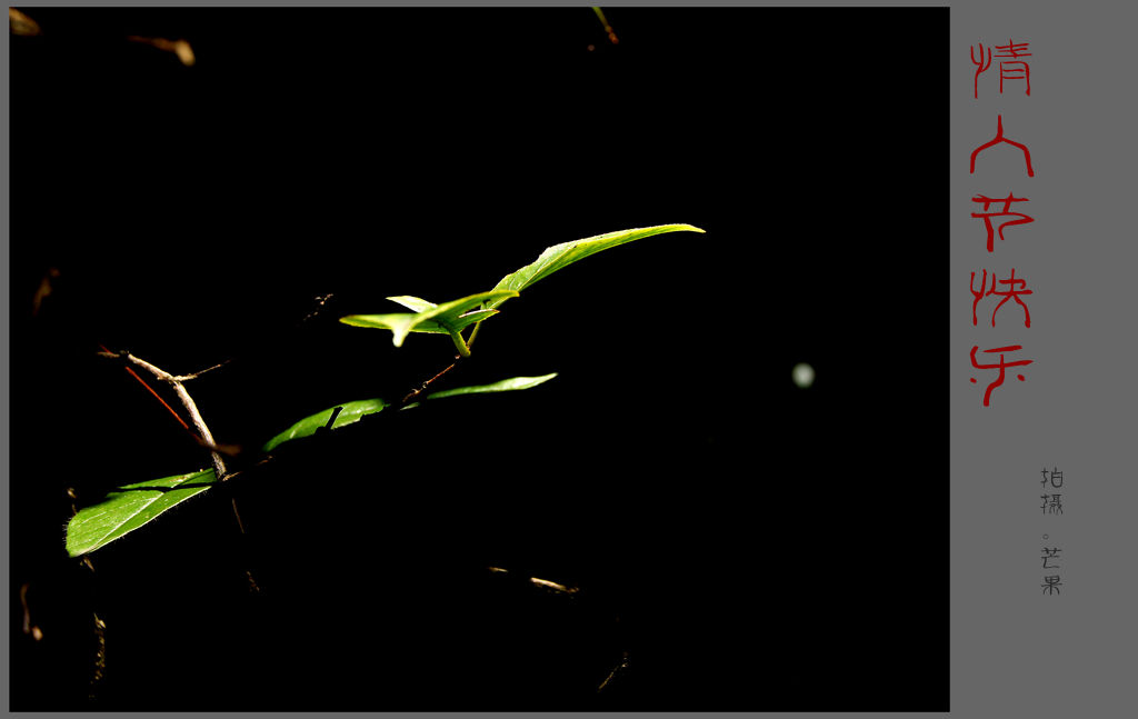 DSC08296_副本.jpg