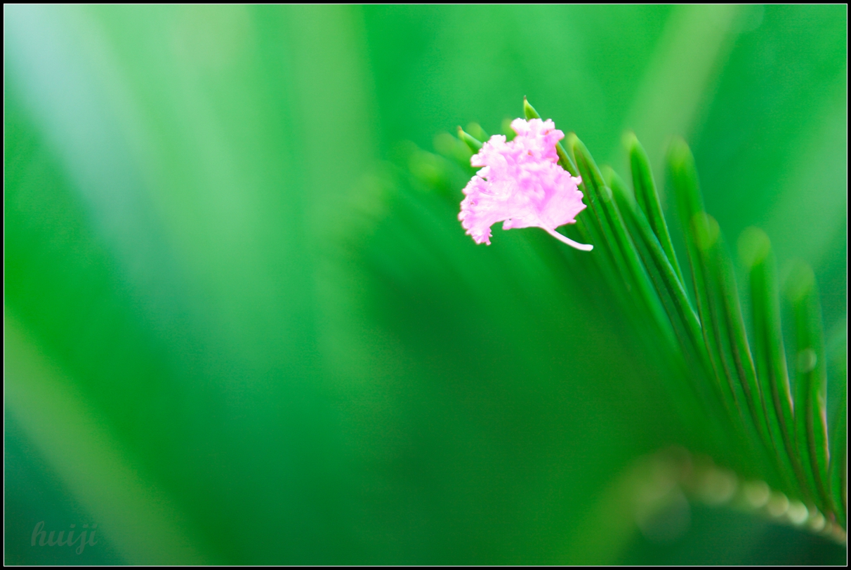 IMG_7983.jpg