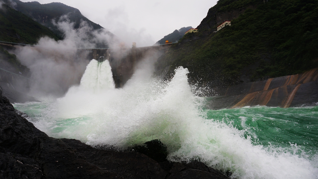 DSC08980.jpg
