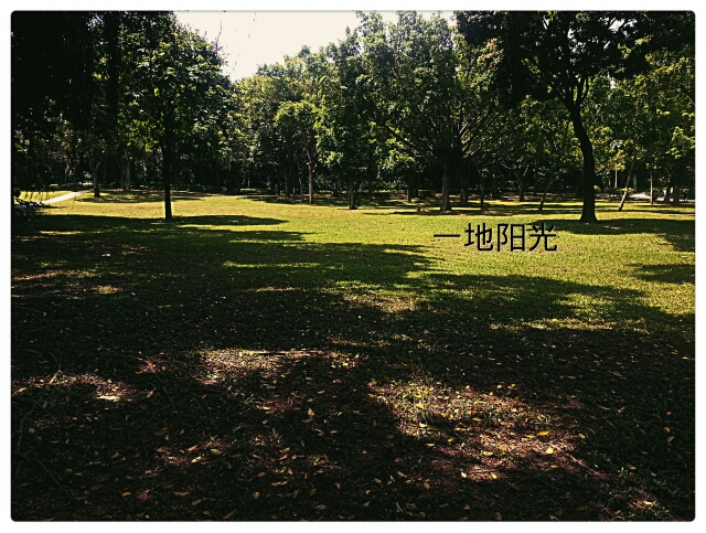 223212jmbcc13cff9w8883.jpg