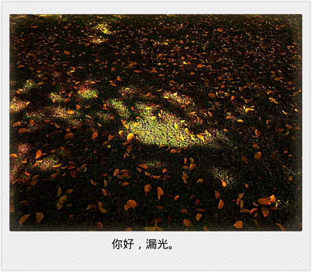 223255ukxun4hx4ll54dct.jpg