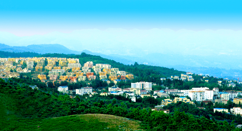 _MG_4802.jpg