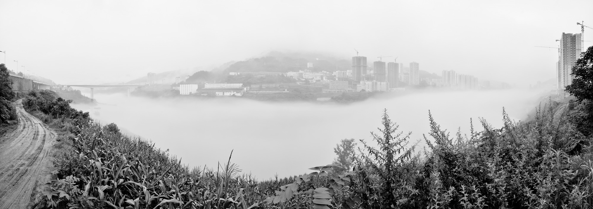 未标题_全景图2-1_缩小大小.jpg