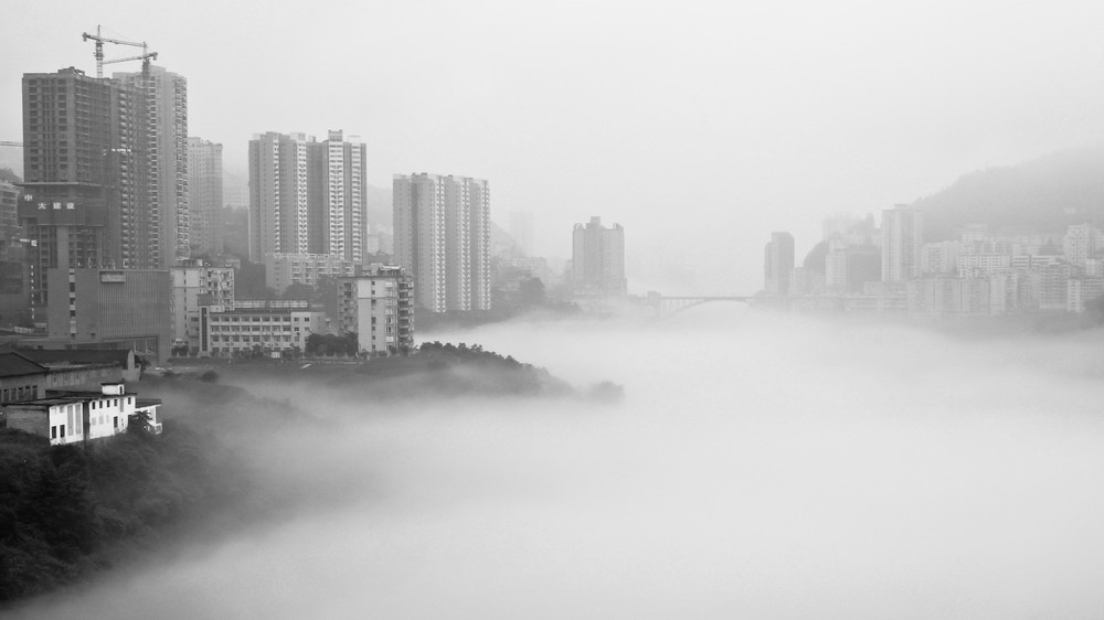 _DSC6947-1_缩小大小.jpg