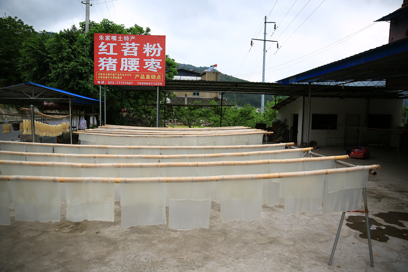 5Z2A8089.jpg