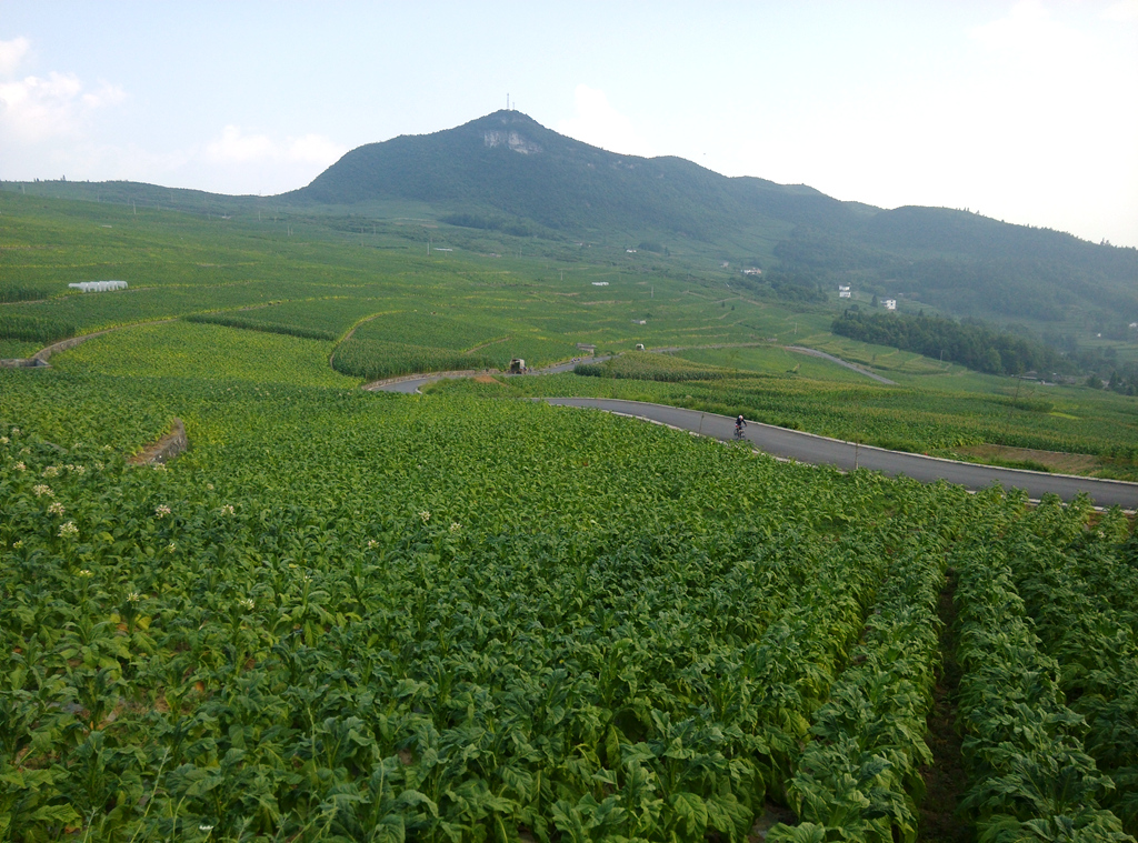 IMG_20140802_165302_副本.jpg
