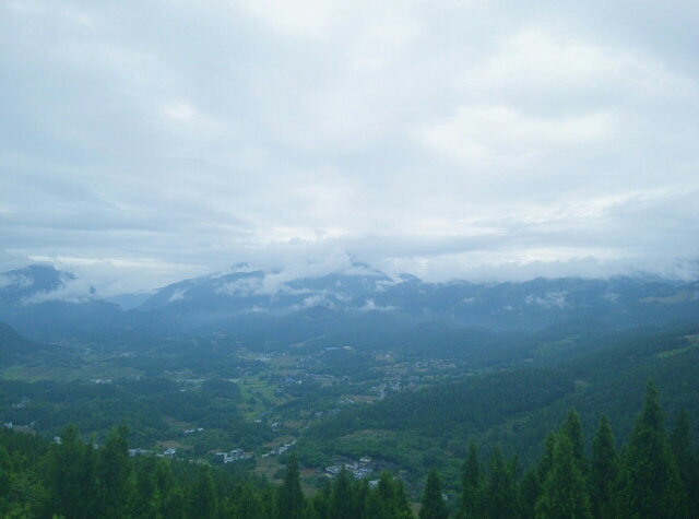 071737zegvz52bczctfcc0.jpg