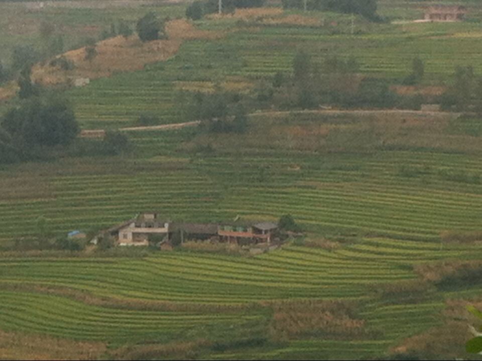 QQ图片20140101150458.jpg