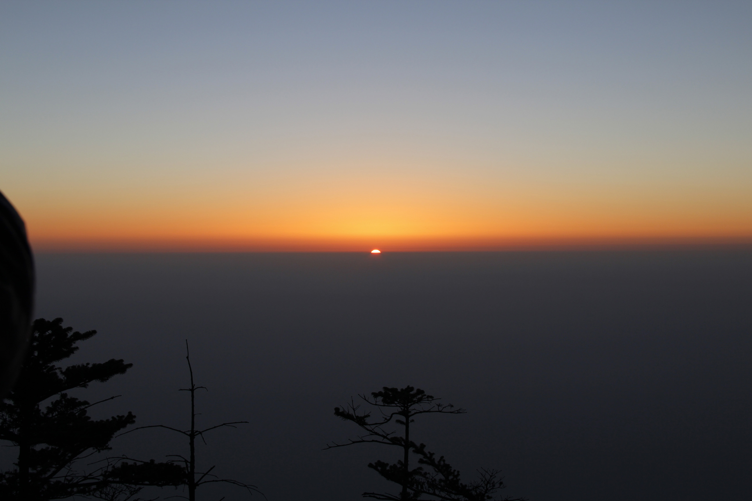 _MG_6694.JPG
