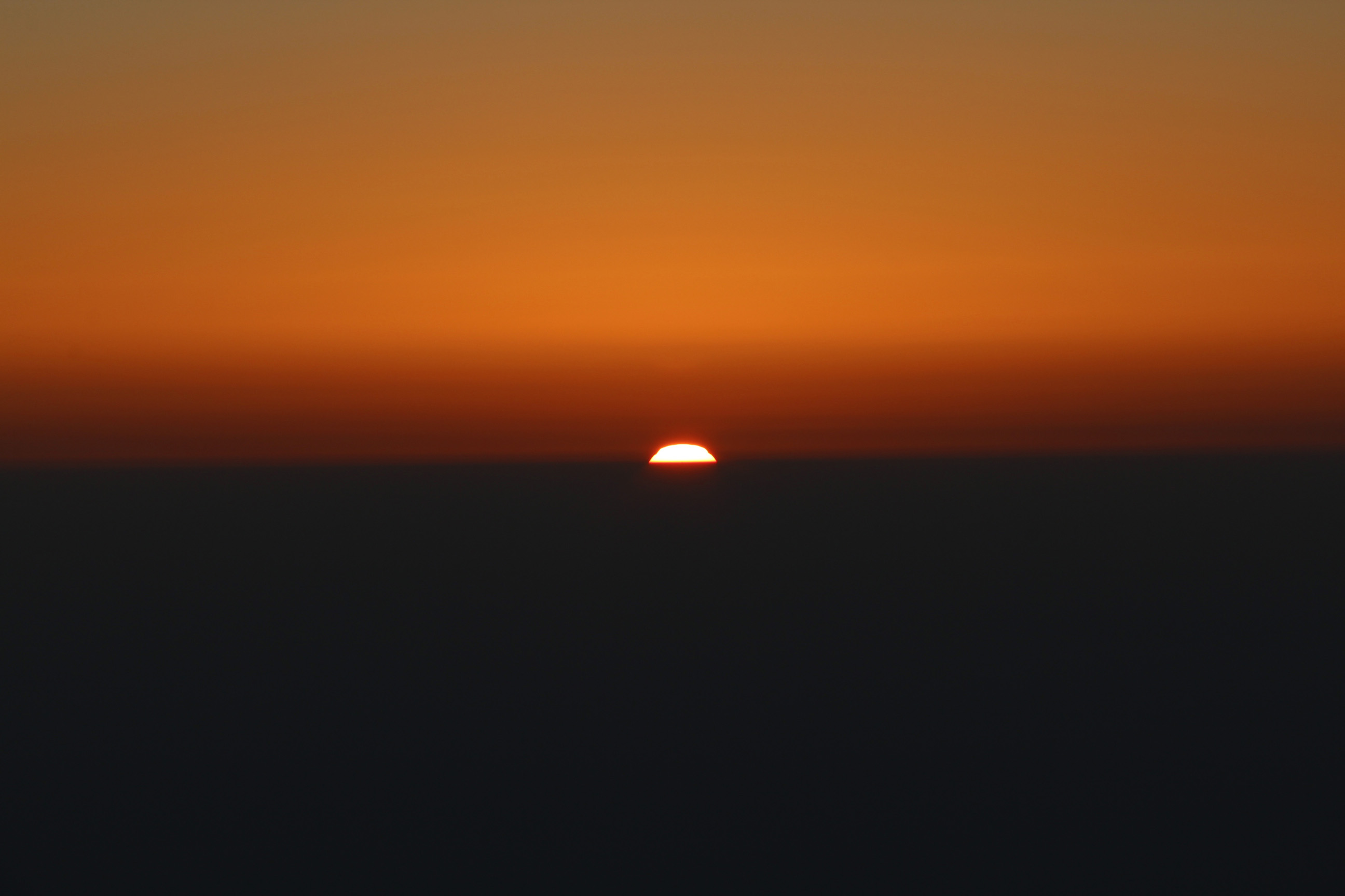 _MG_6695.JPG