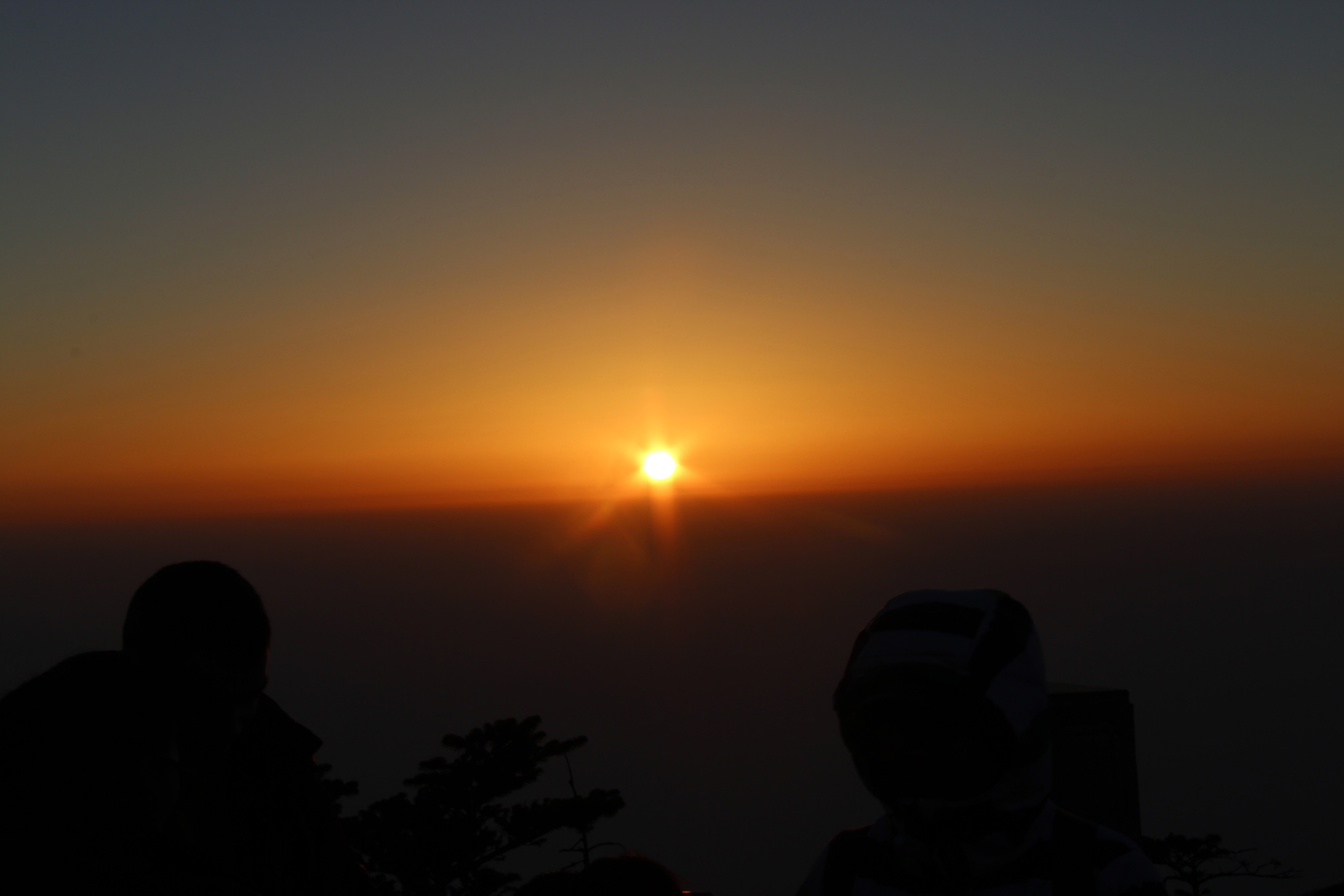 _MG_6727.JPG