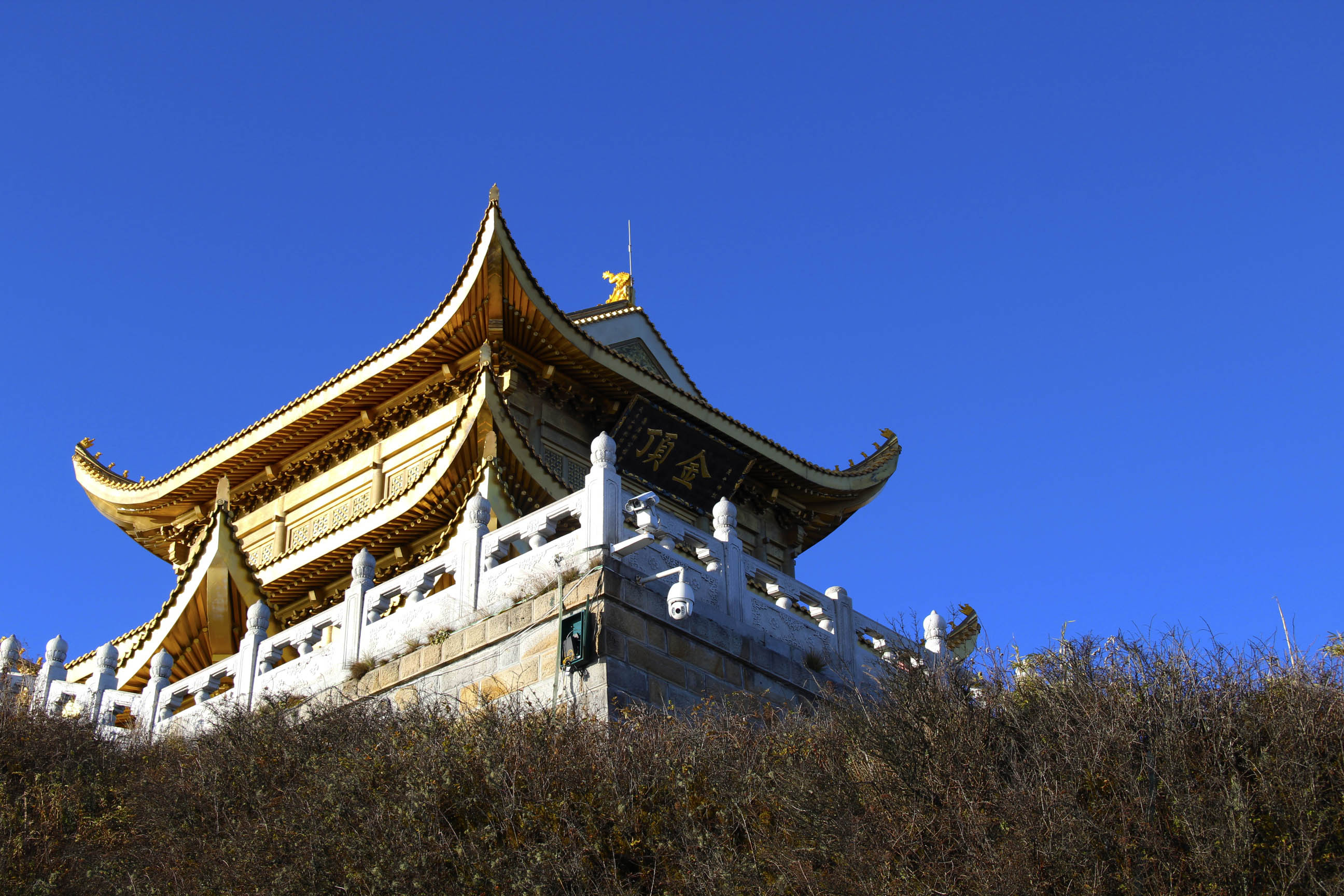 _MG_6838.JPG
