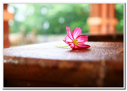 153950t5gnnx9d00e9v90n.jpg