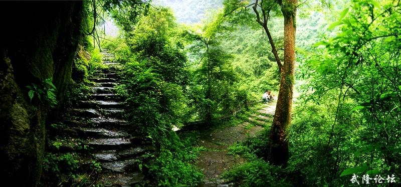 4、巴盐古道（1）.jpg