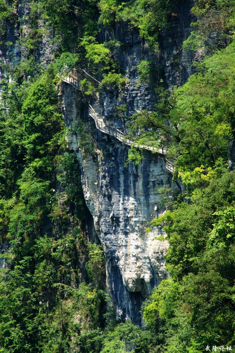 DSC06118.JPG