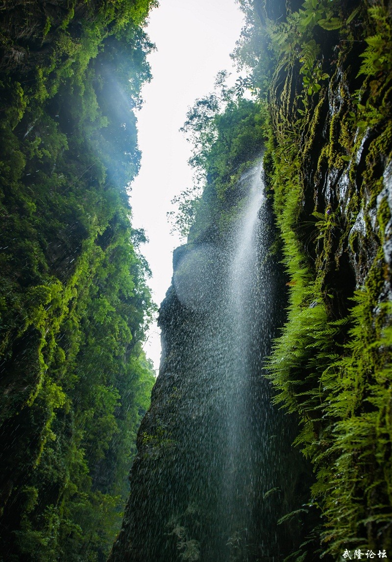 观音拂尘（摄影：阿芳）DSC_5946.jpg