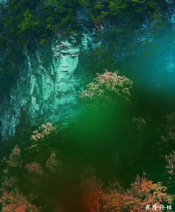 美女哭嫁：阿芳.jpg