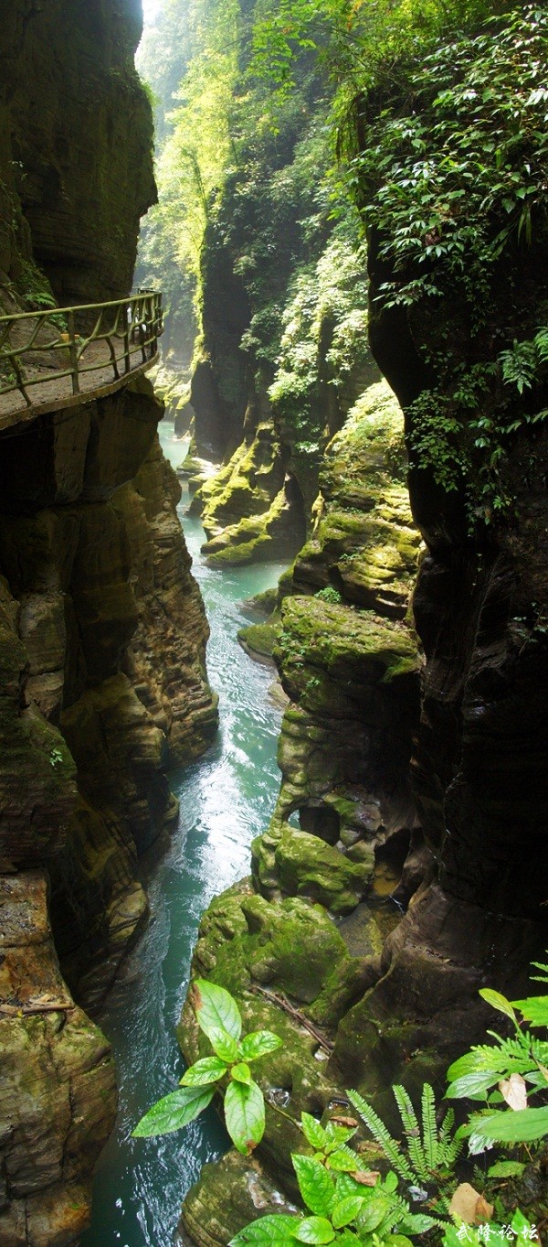 未标题_全景图132.jpg