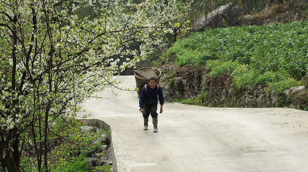 DSC00493_副本.jpg