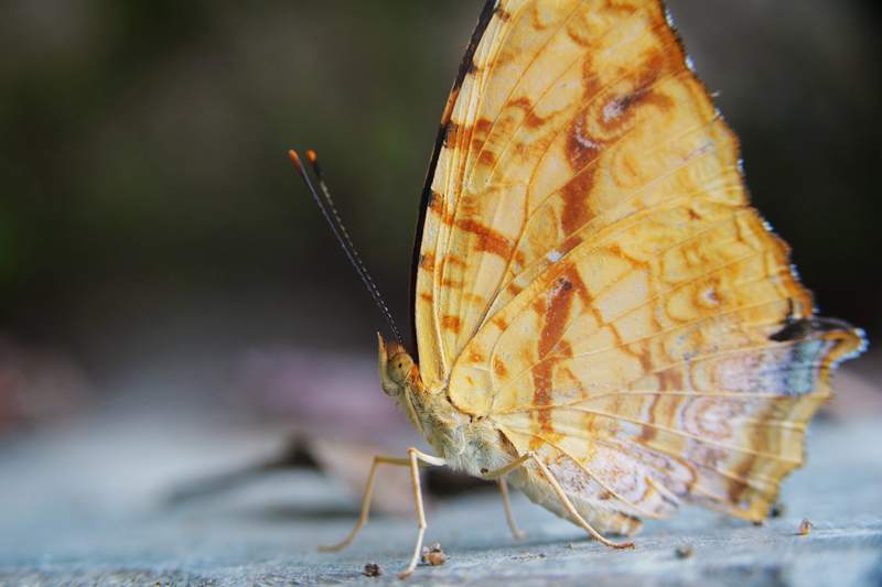 DSC00808_副本.jpg