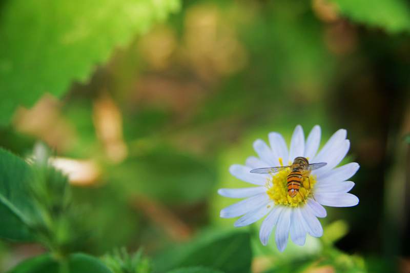 DSC00815_副本.jpg